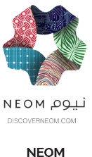 ICT Growth in the Middle East—Neom
